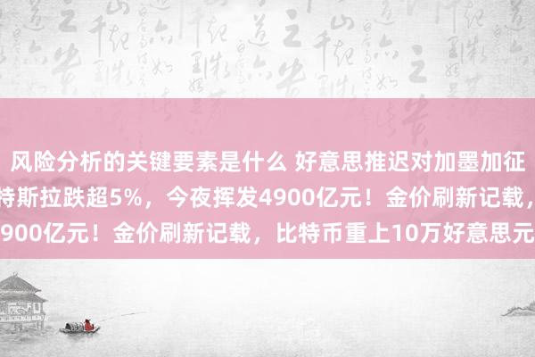 风险分析的关键要素是什么 好意思推迟对加墨加征关税，纳指跌超1%！特斯拉跌超5%，今夜挥发4900亿元！金价刷新记载，比特币重上10万好意思元