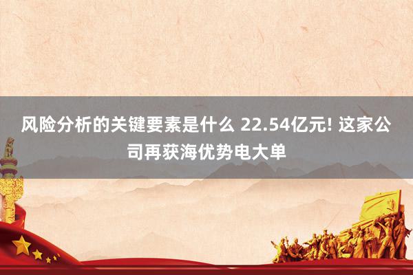 风险分析的关键要素是什么 22.54亿元! 这家公司再获海优势电大单