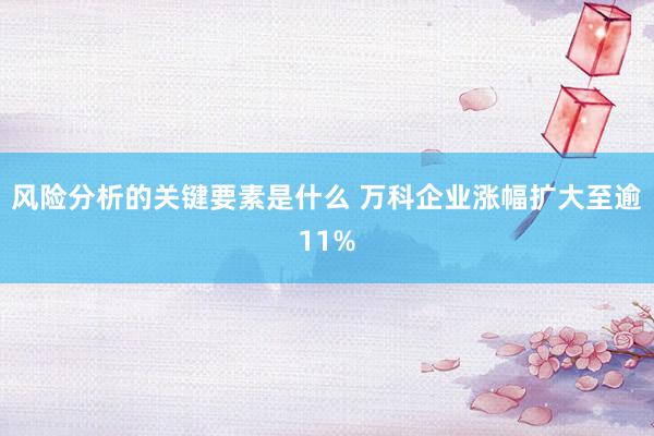 风险分析的关键要素是什么 万科企业涨幅扩大至逾11%