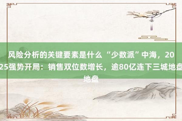 风险分析的关键要素是什么 “少数派”中海，2025强势开局：销售双位数增长，逾80亿连下三城地盘