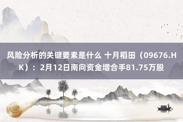 风险分析的关键要素是什么 十月稻田（09676.HK）：2月12日南向资金增合手81.75万股