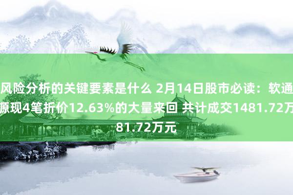 风险分析的关键要素是什么 2月14日股市必读：软通能源现4笔折价12.63%的大量来回 共计成交1481.72万元