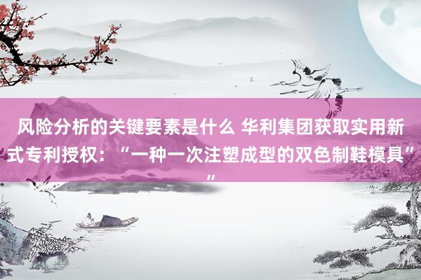 风险分析的关键要素是什么 华利集团获取实用新式专利授权：“一种一次注塑成型的双色制鞋模具”