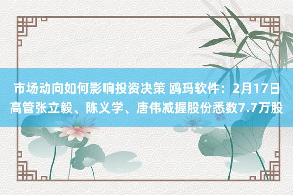 市场动向如何影响投资决策 鸥玛软件：2月17日高管张立毅、陈义学、唐伟减握股份悉数7.7万股