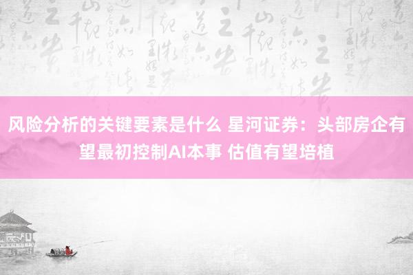 风险分析的关键要素是什么 星河证券：头部房企有望最初控制AI本事 估值有望培植