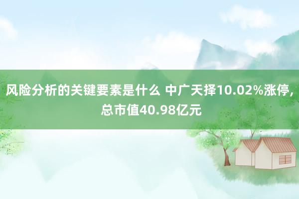 风险分析的关键要素是什么 中广天择10.02%涨停, 总市值40.98亿元