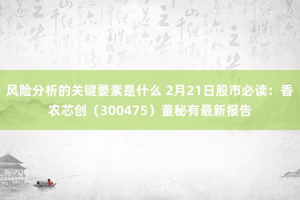 风险分析的关键要素是什么 2月21日股市必读：香农芯创（300475）董秘有最新报告