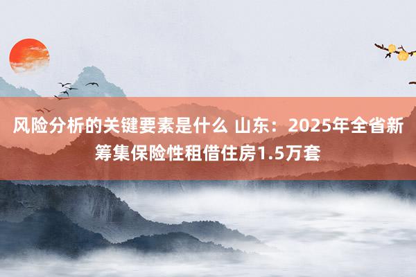 风险分析的关键要素是什么 山东：2025年全省新筹集保险性租借住房1.5万套