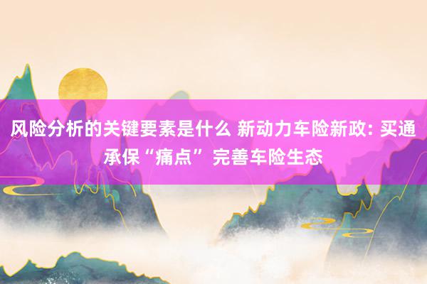 风险分析的关键要素是什么 新动力车险新政: 买通承保“痛点” 完善车险生态