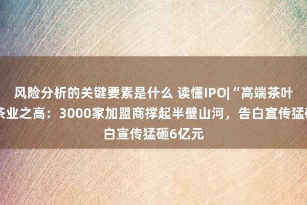 风险分析的关键要素是什么 读懂IPO|“高端茶叶”八马茶业之高：3000家加盟商撑起半壁山河，告白宣传猛砸6亿元