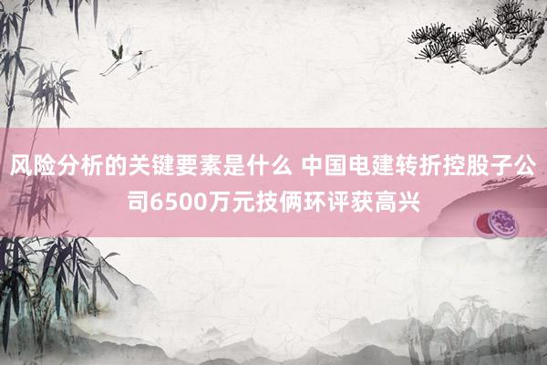 风险分析的关键要素是什么 中国电建转折控股子公司6500万元技俩环评获高兴