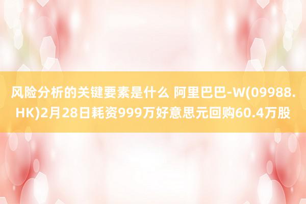 风险分析的关键要素是什么 阿里巴巴-W(09988.HK)2月28日耗资999万好意思元回购60.4万股