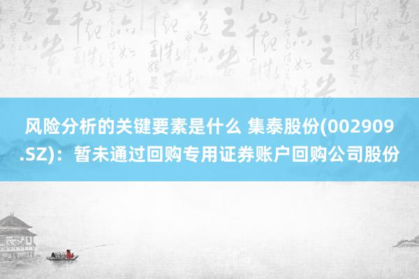 风险分析的关键要素是什么 集泰股份(002909.SZ)：暂未通过回购专用证券账户回购公司股份