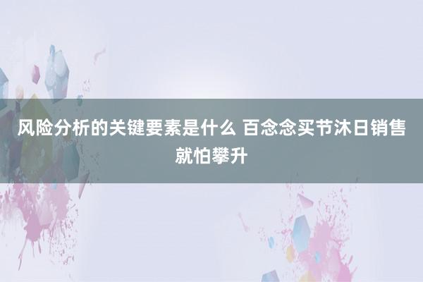 风险分析的关键要素是什么 百念念买节沐日销售就怕攀升