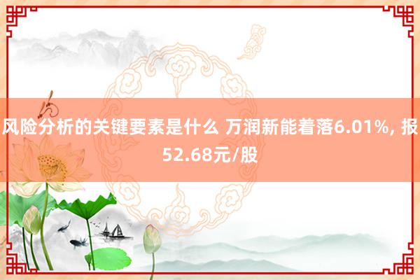 风险分析的关键要素是什么 万润新能着落6.01%, 报52.68元/股