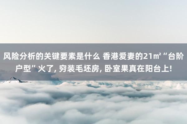 风险分析的关键要素是什么 香港爱妻的21㎡“台阶户型”火了, 穷装毛坯房, 卧室果真在阳台上!