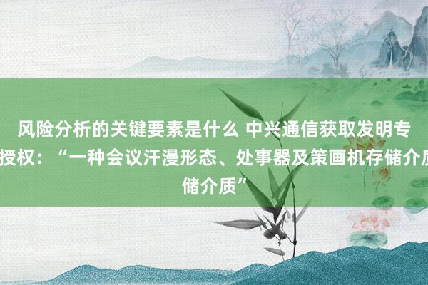 风险分析的关键要素是什么 中兴通信获取发明专利授权：“一种会议汗漫形态、处事器及策画机存储介质”