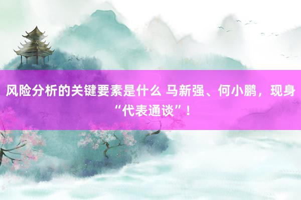 风险分析的关键要素是什么 马新强、何小鹏，现身“代表通谈”！