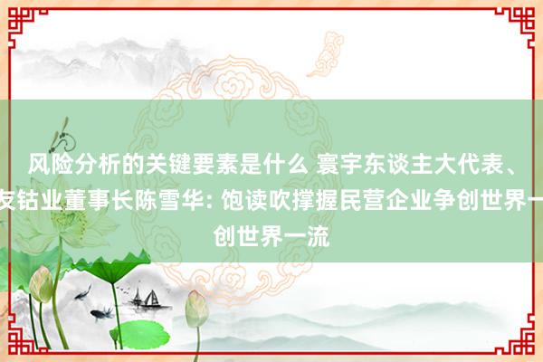 风险分析的关键要素是什么 寰宇东谈主大代表、华友钴业董事长陈雪华: 饱读吹撑握民营企业争创世界一流