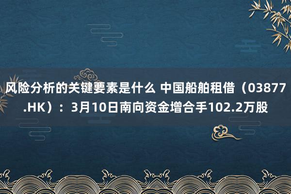 风险分析的关键要素是什么 中国船舶租借（03877.HK）：3月10日南向资金增合手102.2万股