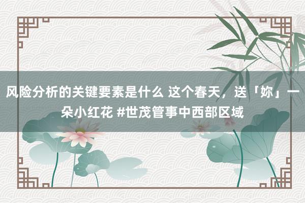 风险分析的关键要素是什么 这个春天，送「妳」一朵小红花 #世茂管事中西部区域