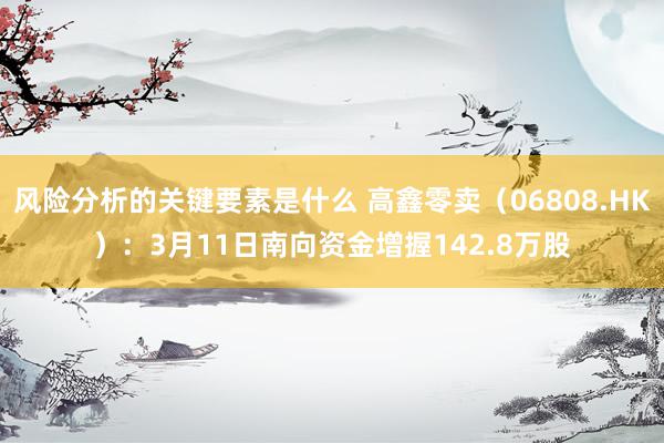 风险分析的关键要素是什么 高鑫零卖（06808.HK）：3月11日南向资金增握142.8万股