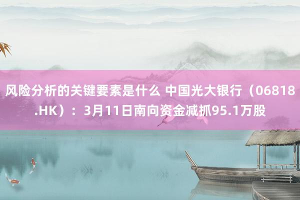 风险分析的关键要素是什么 中国光大银行（06818.HK）：3月11日南向资金减抓95.1万股