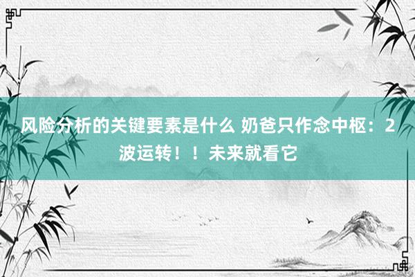 风险分析的关键要素是什么 奶爸只作念中枢：2波运转！！未来就看它