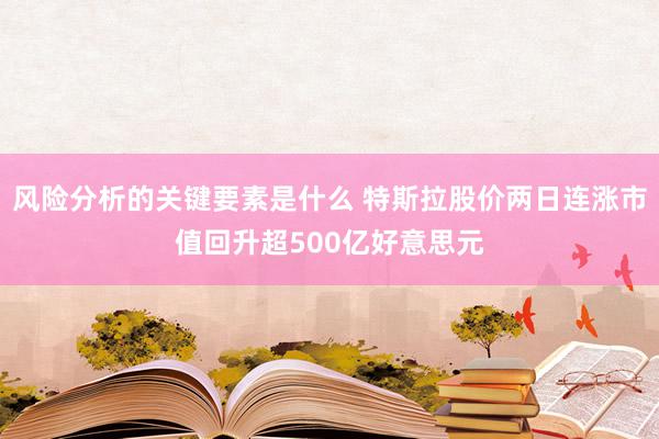 风险分析的关键要素是什么 特斯拉股价两日连涨市值回升超500亿好意思元