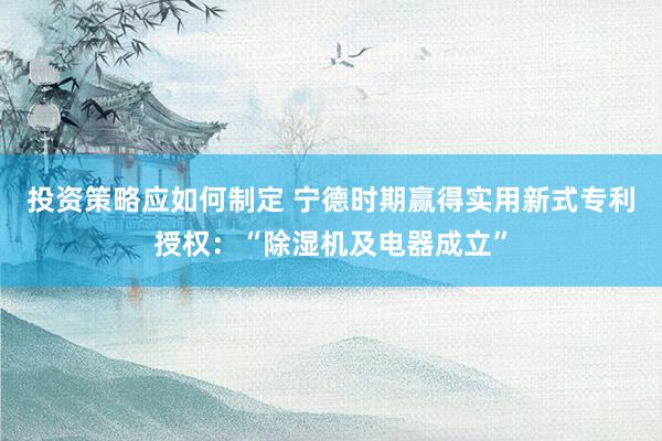 投资策略应如何制定 宁德时期赢得实用新式专利授权：“除湿机及电器成立”