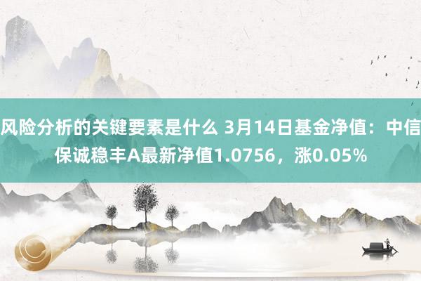 风险分析的关键要素是什么 3月14日基金净值：中信保诚稳丰A最新净值1.0756，涨0.05%