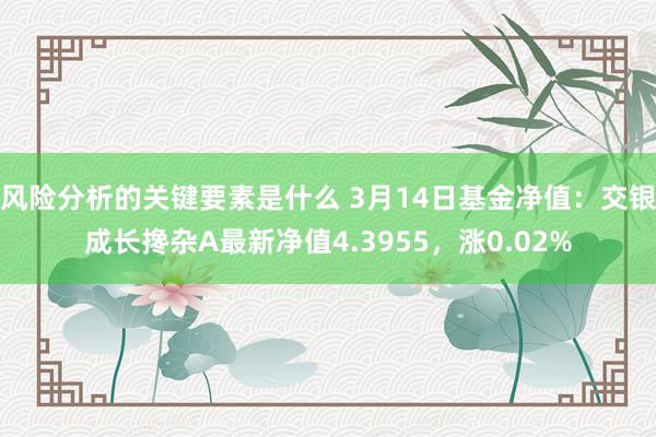 风险分析的关键要素是什么 3月14日基金净值：交银成长搀杂A最新净值4.3955，涨0.02%