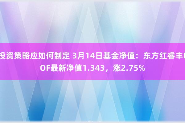 投资策略应如何制定 3月14日基金净值：东方红睿丰LOF最新净值1.343，涨2.75%