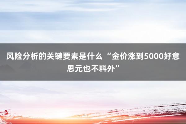 风险分析的关键要素是什么 “金价涨到5000好意思元也不料外”